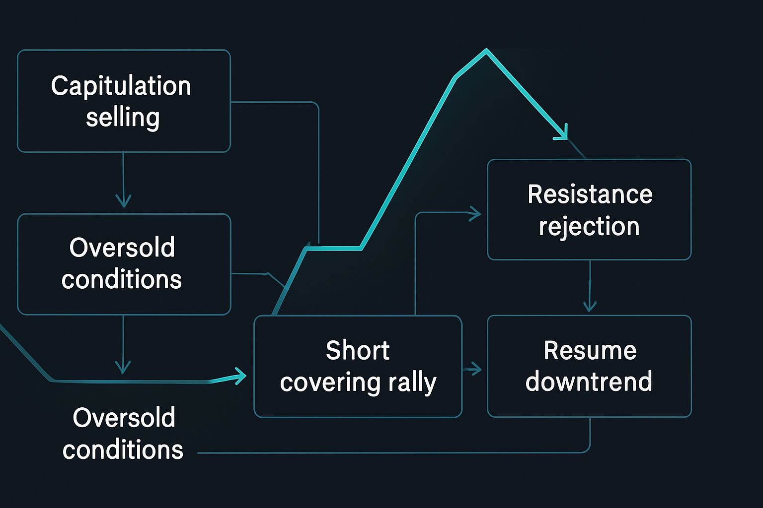 Життєвий цикл медвежого ралі: чому надія перетворюється на біль